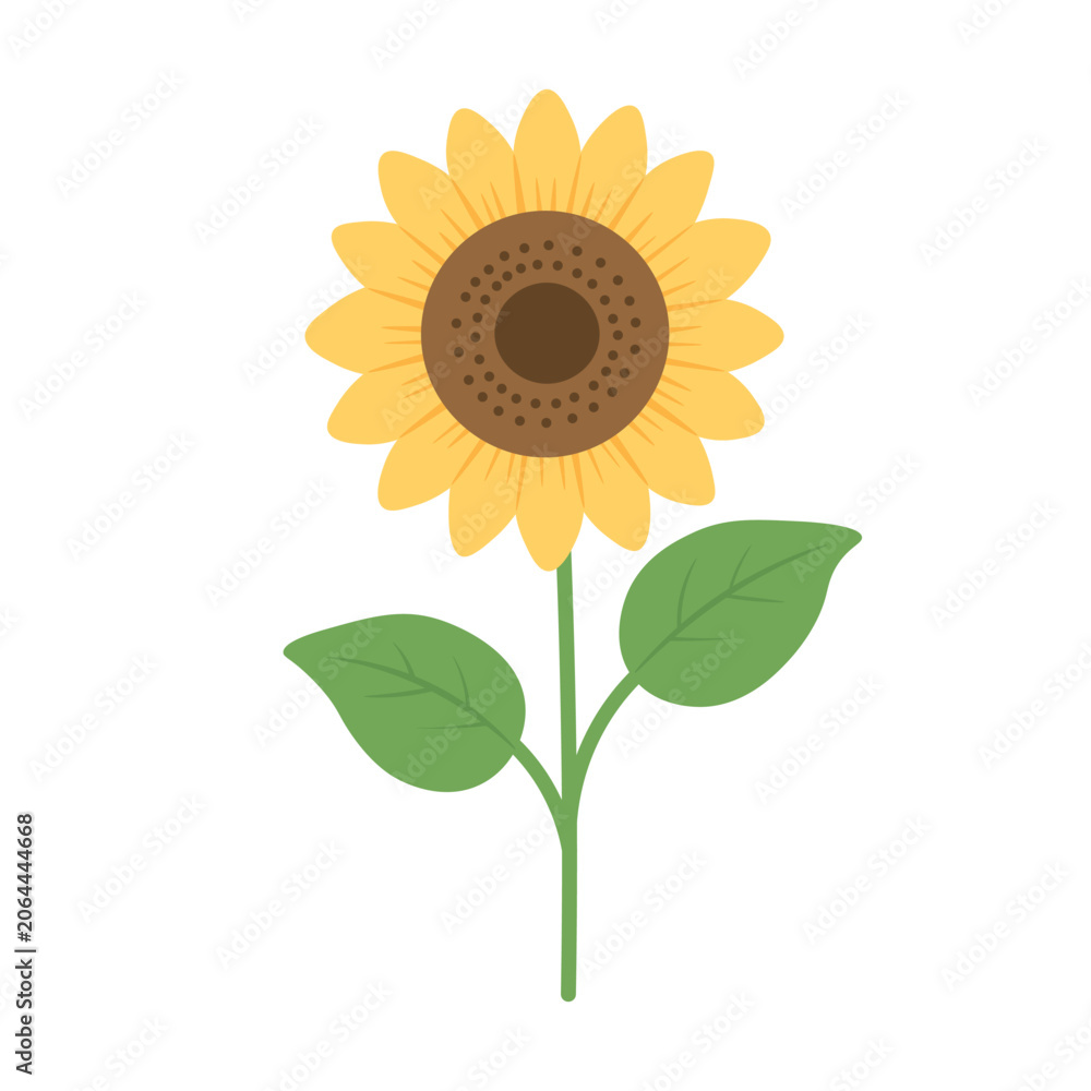 Fototapeta premium Cute flat vector sunflower with green leaves isolated on white background.