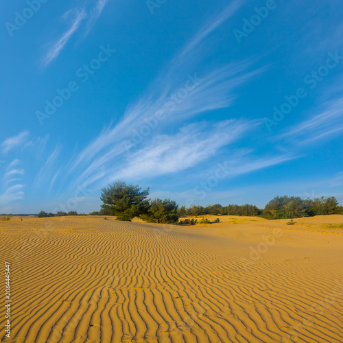 Fotografía wide sandy desert under a blue cloudy sky