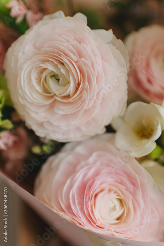 Macro shot of beautiful pink ranunculus petals in a luxurious spring bouquet. Tender floral texture with soft selective focus.