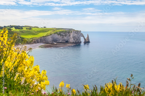 Etretat Aval Cliff and Yellow Flowers, Normandy