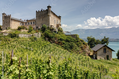 Château de Bourdeau dans le département de la Savoie