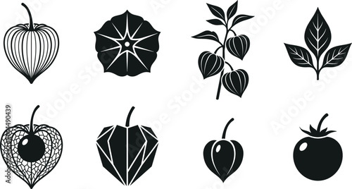 Tableau sur toile Physalis vector silhouette icon set with cape gooseberry fruits husks leaves bra