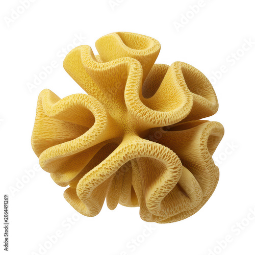 Yellow organic wavy folded structure with delicate ribbed texture resembling a sea anemone or exotic flower on a black background