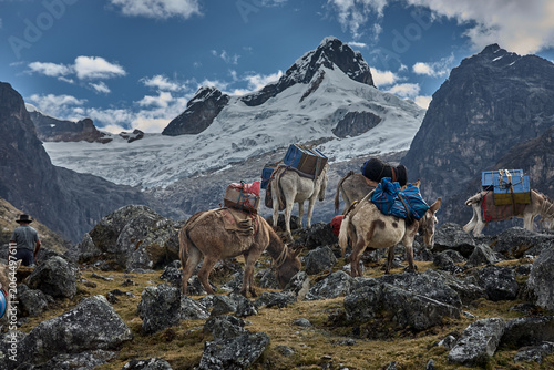Obraz na plátně deep into the heart of Quebrada Carhuascancha, one of the most remote and rewarding valleys on the eastern flank of the Cordillera Blanca