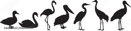 Canvas Print Black bird silhouettes, crane and swan icons, vector graphics, wildlife illustra