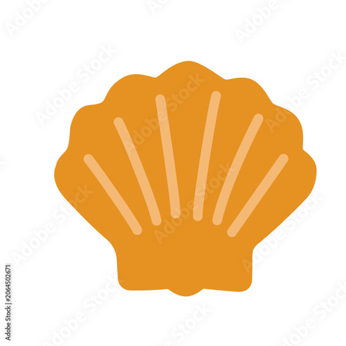 Shell Design With Simple Lines and Bright Orange Color