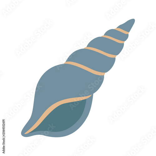 Shell Resting on a Surface With a Smooth Texture and a Spiral Shape