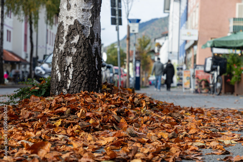 Fallen autumn leaves on a sidewalk in a European town