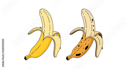 Vászonkép Peeled bananas with varying ripeness depicted as a vector silhouette