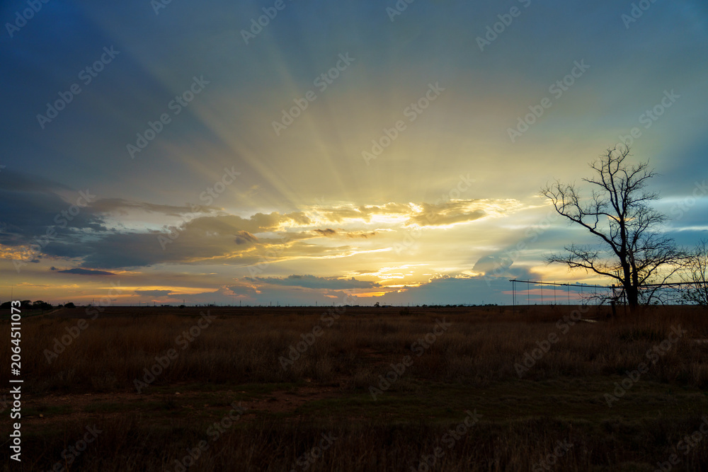 Fototapeta premium West Texas Sunset
