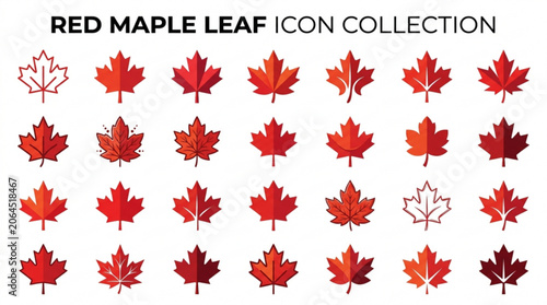 Photos Collection of red maple leaf icons in various styles