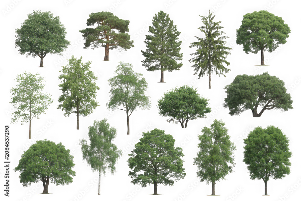 Fototapeta premium Collection of various green trees for landscape design isolated on white background
