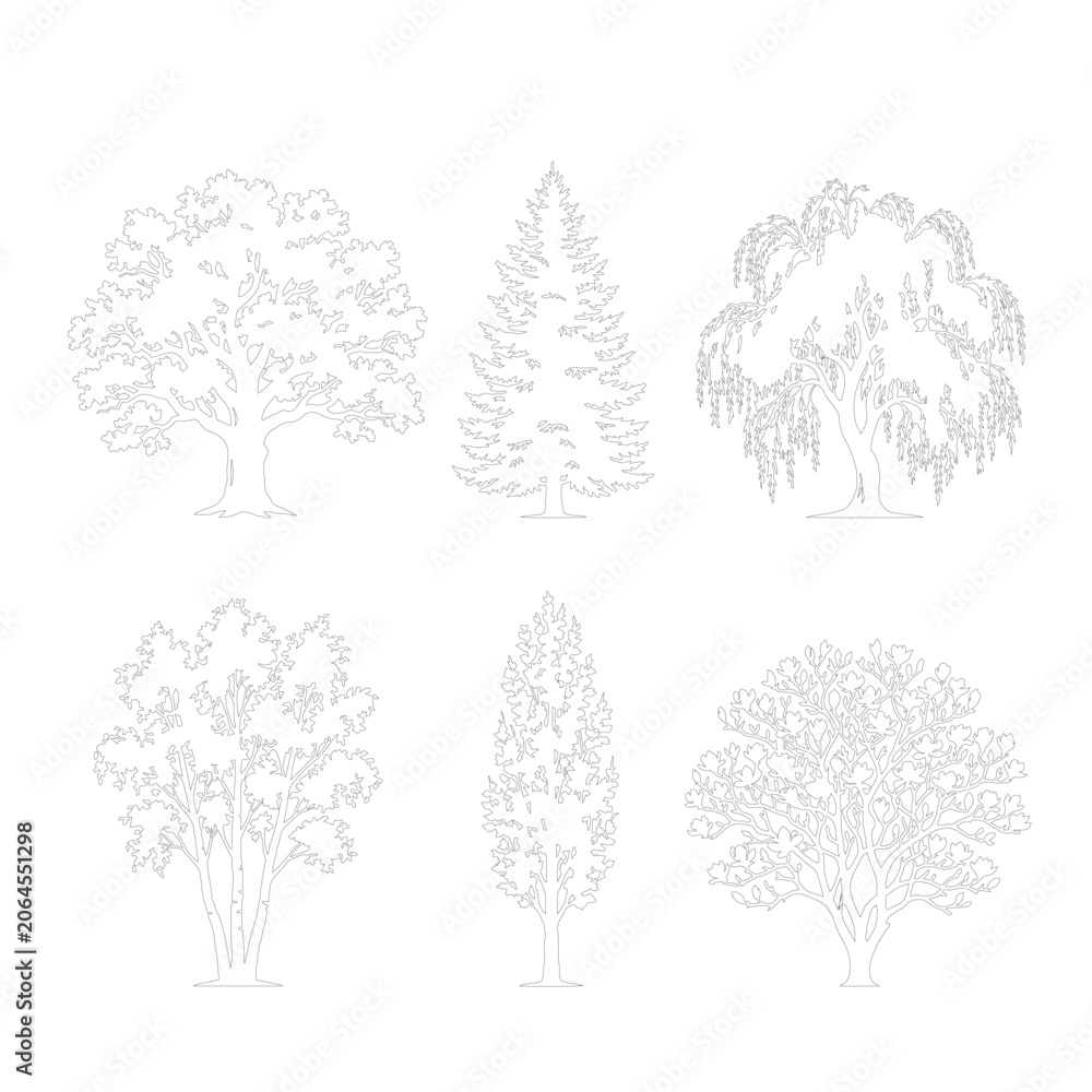 Obraz premium Minimalist tree line art collection, set of 6 thin stroke botanical vector icons, elegant white and grey deciduous and evergreen tree silhouettes