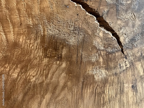 Close up of rough natural wood grain with crack and texture.