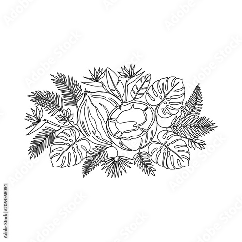 Tropical Coconut and Exotic Leaves Line Art Illustration