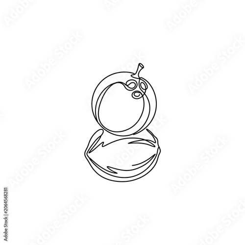 Minimalist Line Art Illustration of Two Fruits: Tomato and Coconut