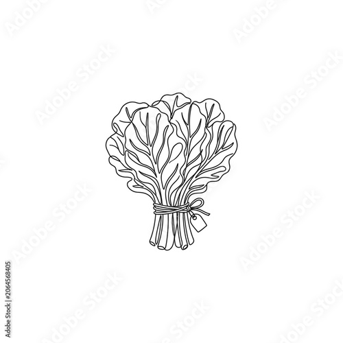 Fresh Leafy Greens Bunch Tied with String and Tag, Minimalist Line Art
