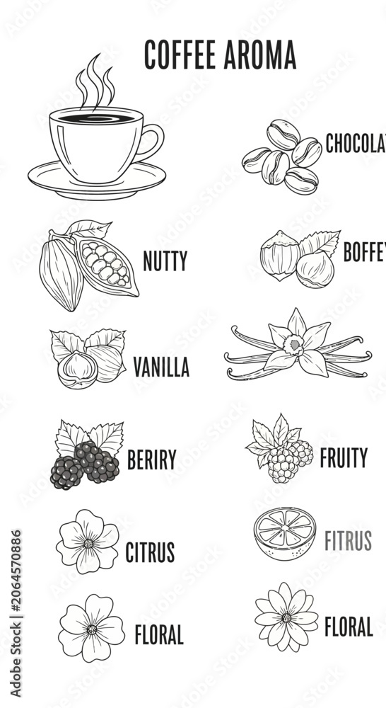 Obraz premium Coffee Aroma Flavors Illustration.