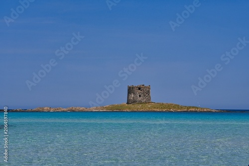 the most beautiful beach in Sardinia La Pelosa