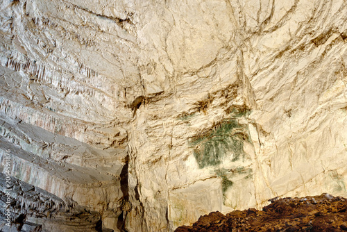 Obraz na płótnie Detailed cave ceiling with earthy textures and plant growth