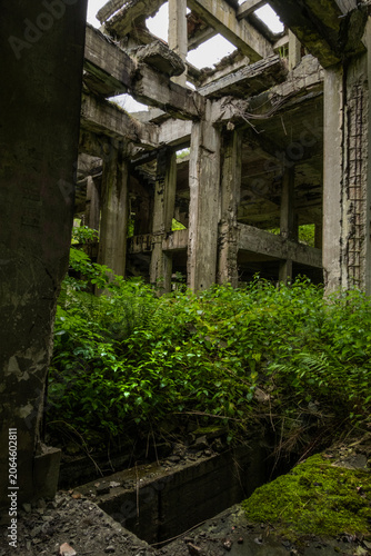 Multi-Level Concrete Skeleton of Ruined Factory Overgrown with Wild Green Bushes. Remains of the Hydrierwerke Pölitz synthetic fuel factory in Police, Poland.
