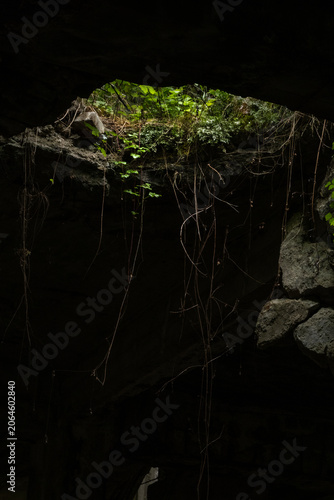 Abandoned Industrial Ruins Overgrown with Lush Greenery, Apocalyptic Dark Cave Atmosphere. Synthetic fuel factory ruins in Police, Poland. Dark cinematic bunker with dystopian atmosphere.
