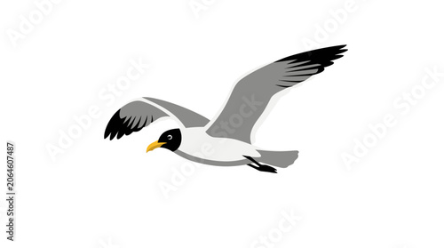 Flying seagull illustration isolated on a white background.