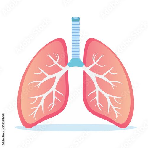 Flat Design Illustration of Human Lungs with Trachea