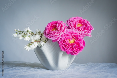 The splendor and vibrant colors of the pink roses