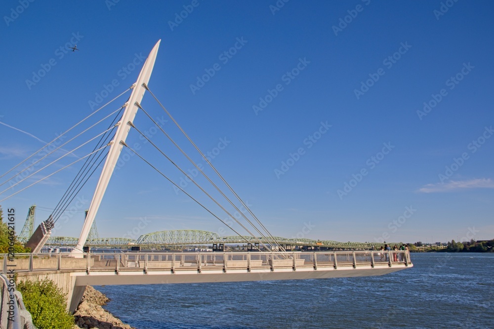 Fototapeta premium White Cable Stayed Bridge Over Willamette River