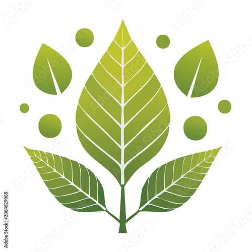 Flat design green leaf vector illustration
