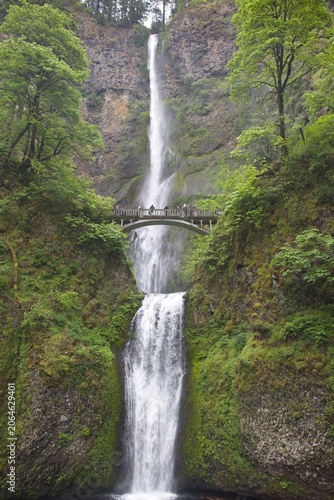 Multnomah Falls Framed by Green Gorge Walls