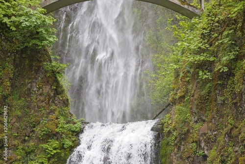 Powerful Multnomah Falls With Bridge and Visitors