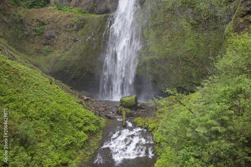Water Flowing from Multnomah Falls Through Green Gorge