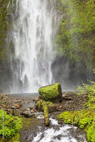 Moss Covered Boulder at Multnomah Falls Base