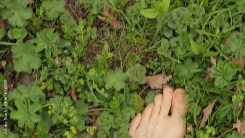 Top view of bare feet standing on green grass mixed with brown dry leaves. Khaki pants hem visible. Grounding, nature connection, freedom, calm, outdoor mindfulness. High quality FullHD footage