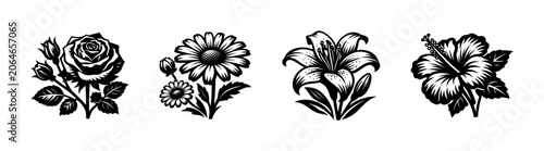 Fényképezés Collection of four distinct floral illustrations in black and white