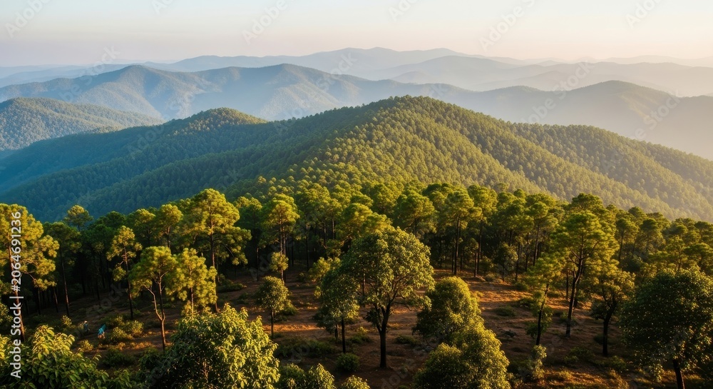 Obraz premium Lush Green Forested Mountain Range Under Soft Morning Sunlight.