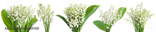 Lily-of-the-valley flowers and green leaves isolated on white, set