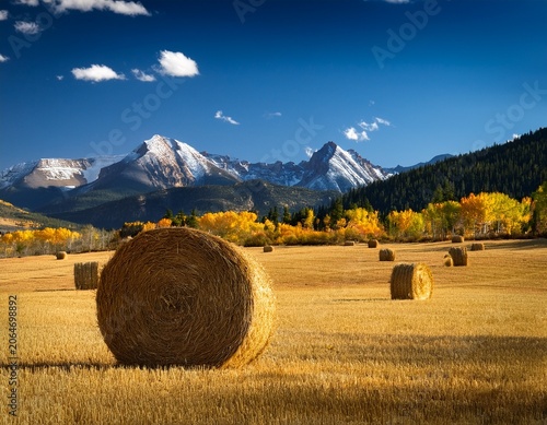 hay bales with san juan mountains colorado