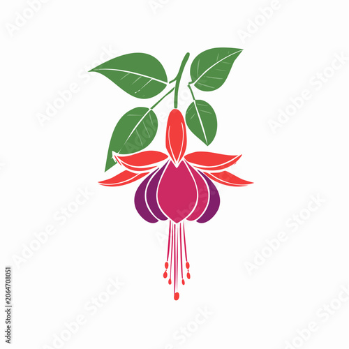 Stylized Fuchsia Flower Illustration