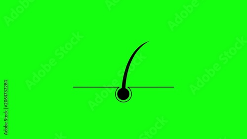 4K animation of black hair moving naturally on a green background. Ideal for chroma key editing, beauty content, hairstyle presentations, fashion projects, and motion graphics.