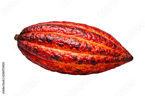 Foto Premium roasted cacao pod isolated on transparent background