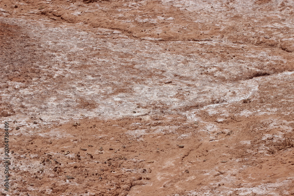 Obraz premium White Salt Deposits on Desert Ground