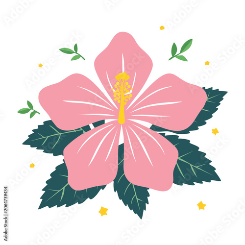 Pink Hibiscus Flower Flat Design Illustration