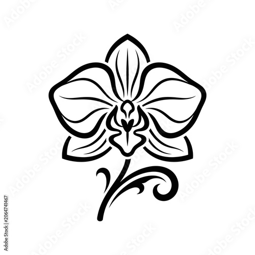 Black and white orchid flower design.
