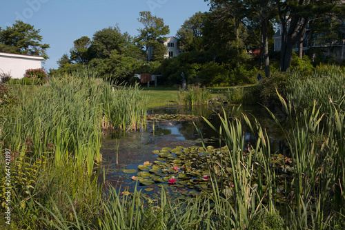 Foto Retention pond wetland drainage basin with aquatic plants