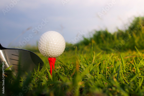 Close-Up of Golf Ball on Tee with Golf Club in Lush Green Grass