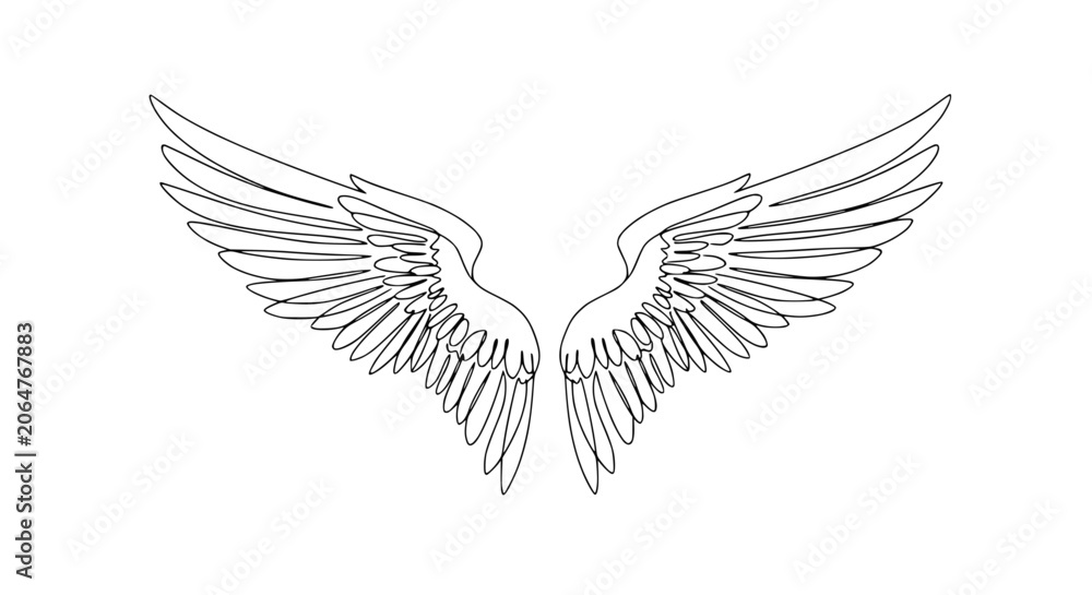 Fototapeta premium Elegant Feathered Wings Outline Drawing Isolated on White Background