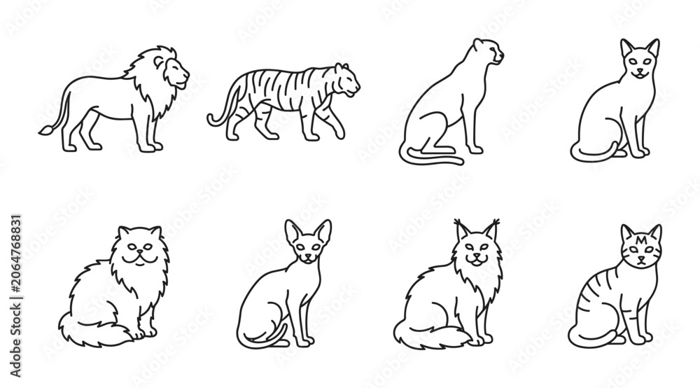 Obraz premium 8 Big and Small Cats linear icon set lion tiger cheetah domestic cats, UI and web interface design